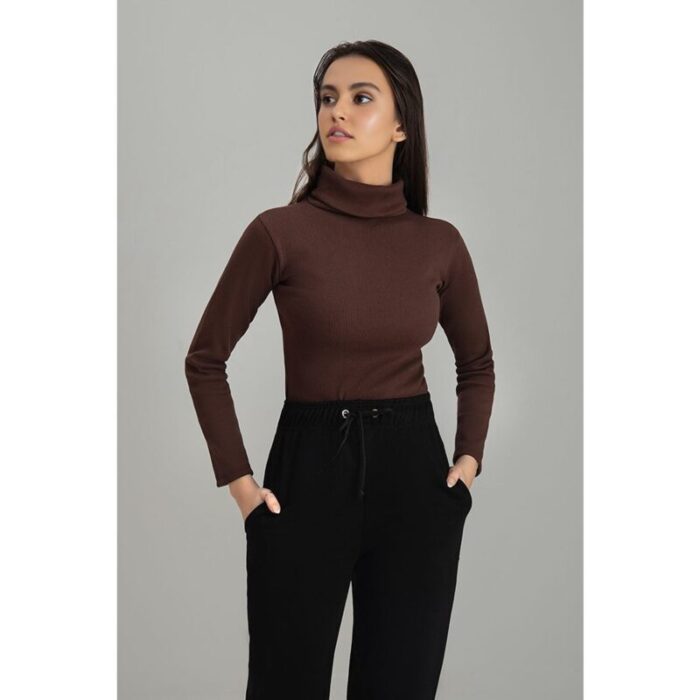 Brown HighNeck Ribbed Long Sleeves